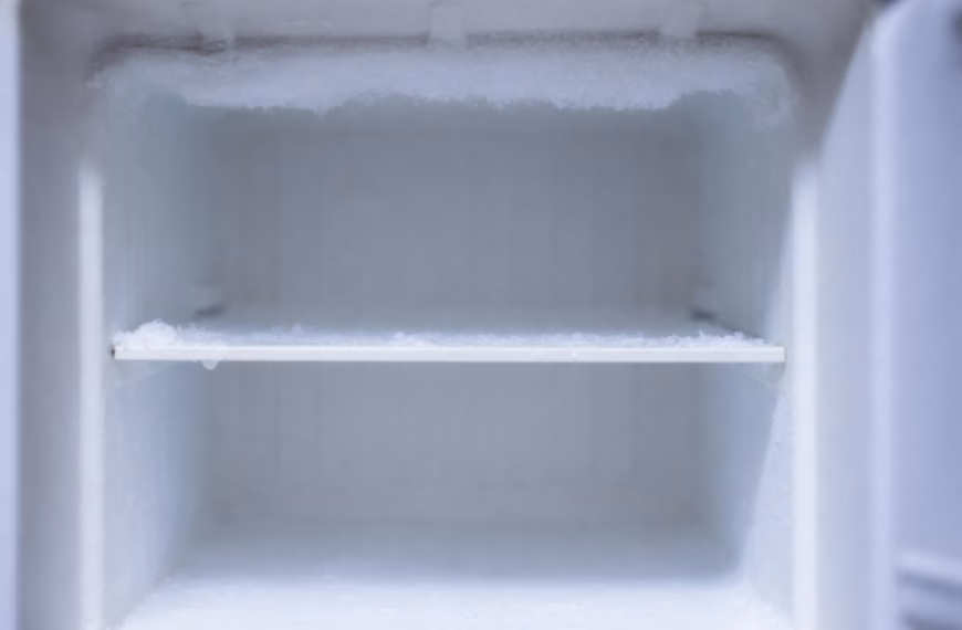 Méthode professionnelle pour décongeler un congélateur de cuisine haut de gamme - Service NOBO